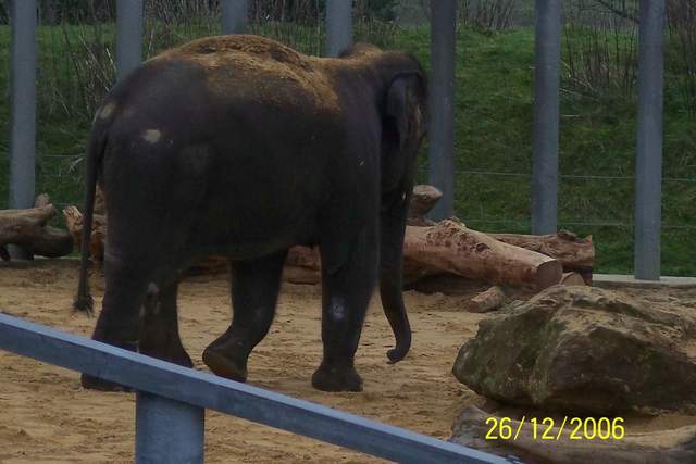 100_0092.JPG