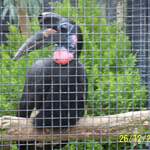 100_0074.JPG
