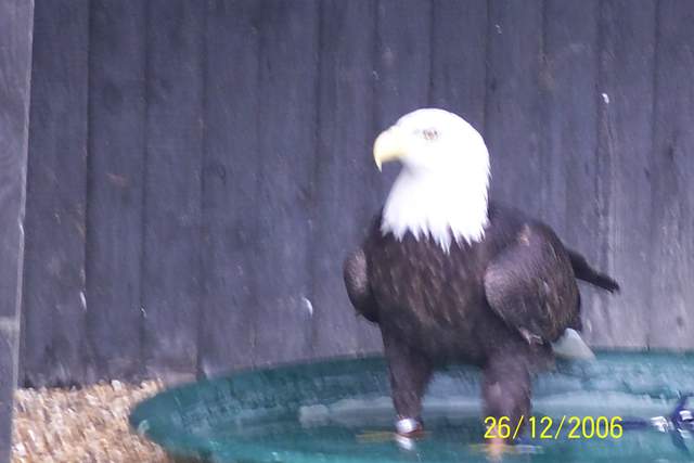 100_0073.JPG
