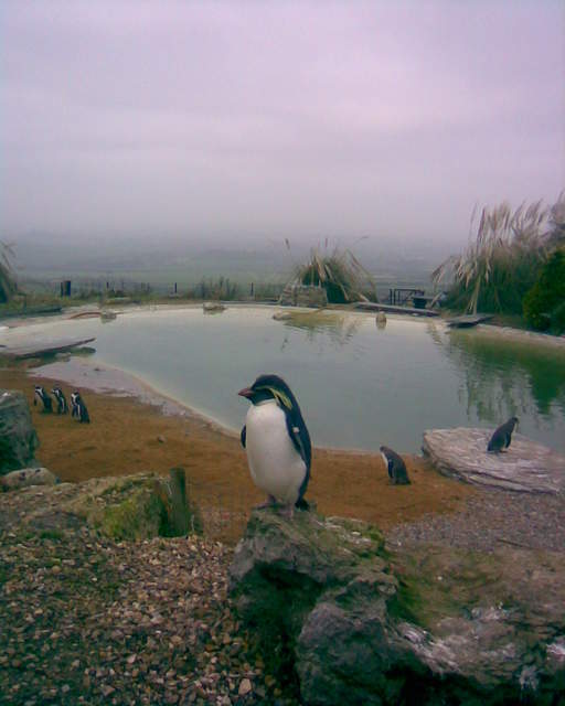 Image010.jpg