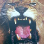 Image004.jpg