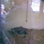 Image007.jpg