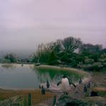 Image009.jpg