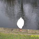 100_0021.JPG