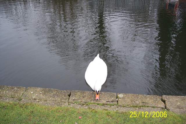 100_0021.JPG