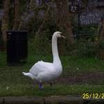100_0022.JPG