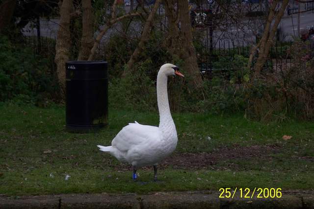 100_0022.JPG