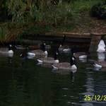 100_0024.JPG