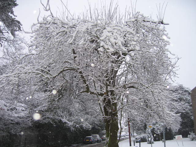Church road