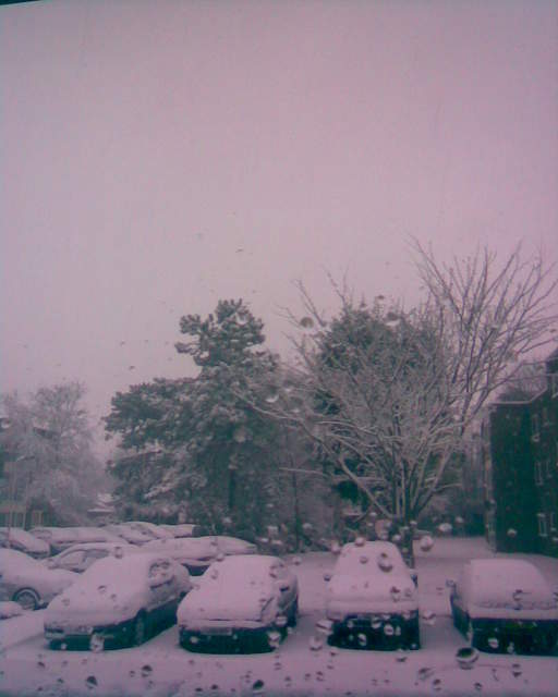 First snow photo of the morning!