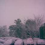 First snow photo of the morning!