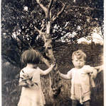 Blake Family History