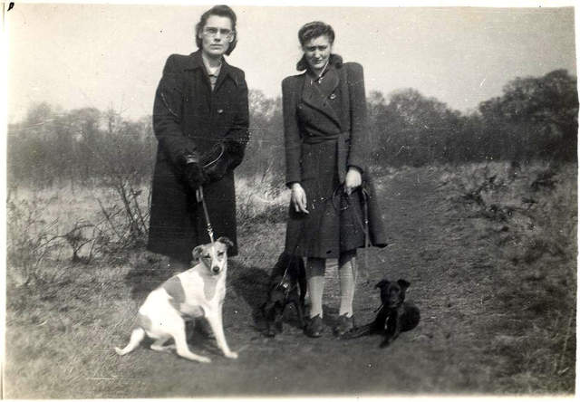 103.jpg