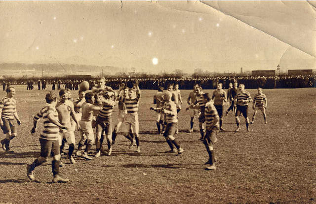 196.jpg