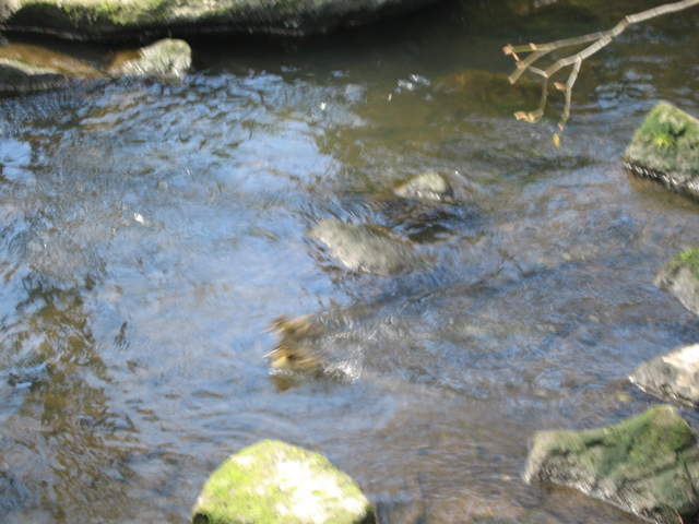 IMG_0056.JPG
