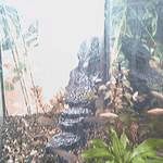 Office-cam - Bankside 1-2-3 - Time-lapse video