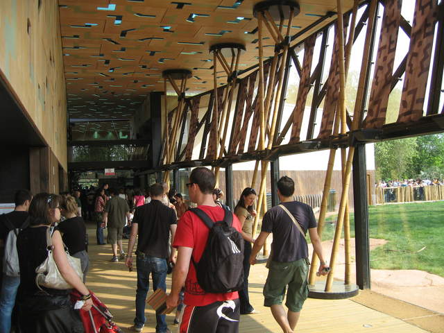 Gorilla Kingdom