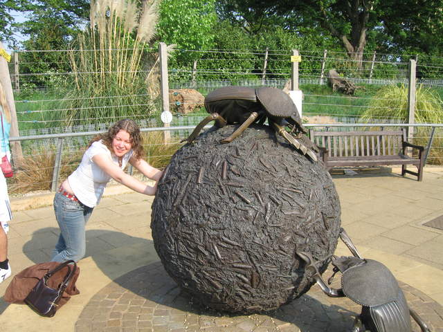 Michelle pushing dung