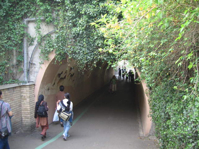 Tunnel at London Zoo
