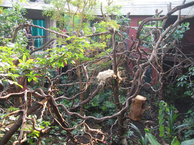 Clore Rainforest Lookout 