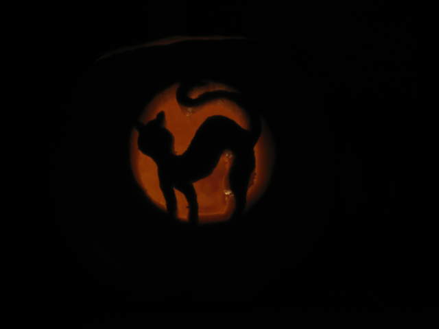 Witches Cat Pumpkin