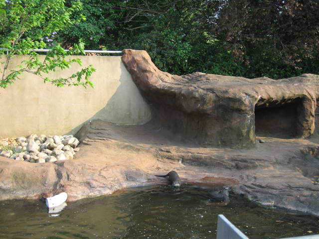 Otters