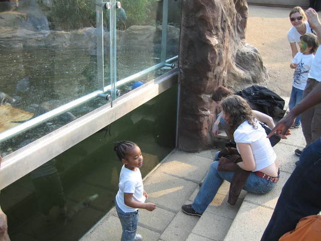 Michelle Watching the otters underwater