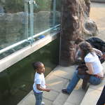 Michelle Watching the otters underwater