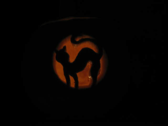 Witches Cat Pumpkin