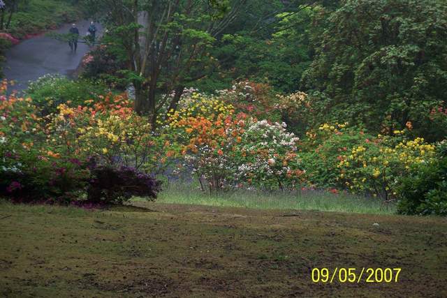 100_0487