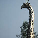 Giraffe sculpture