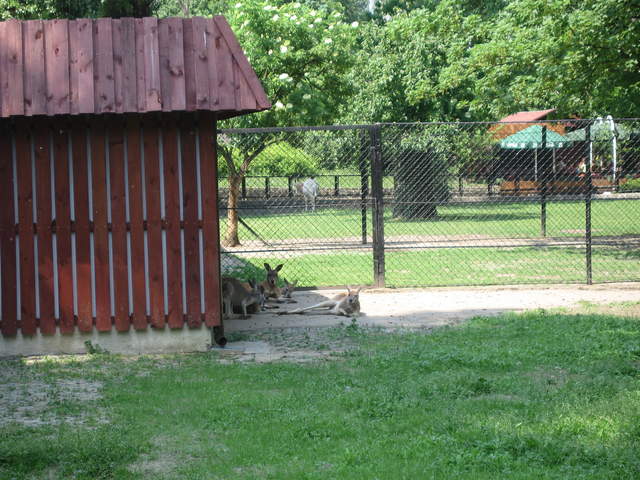 IMG_0123.JPG