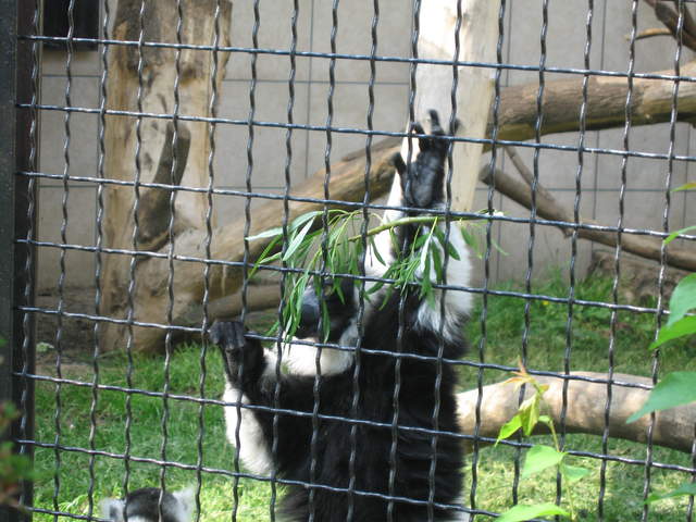 IMG_0199.JPG