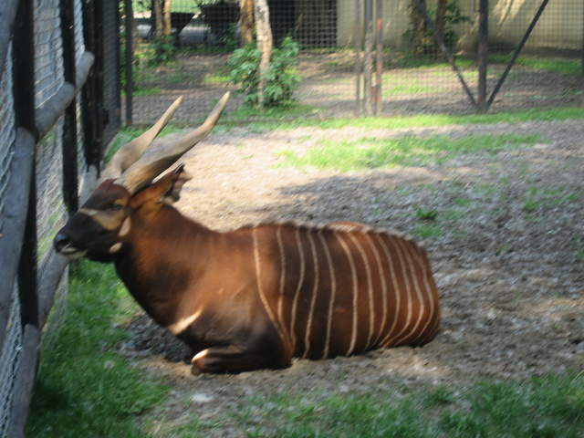 IMG_0223.JPG
