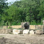 Elephant at Warsaw Zoo