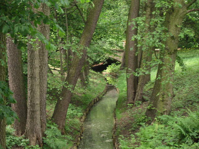 Lazienki Królewskie Park