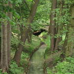 Lazienki Królewskie Park