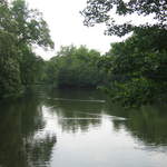 Lazienki Królewskie Park