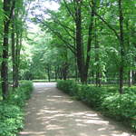 Lazienki Królewskie Park