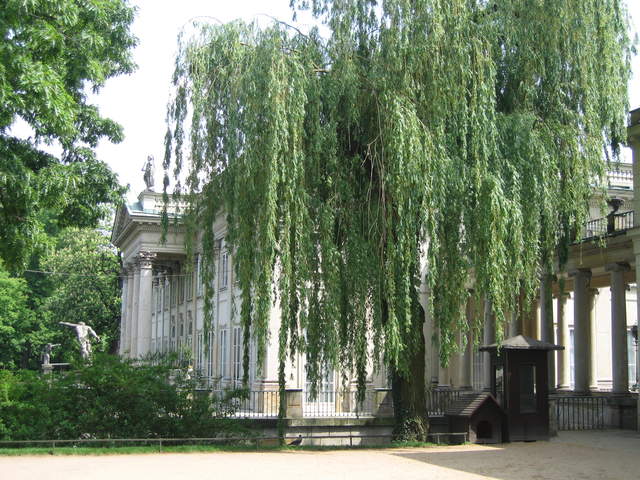 Pałac Na Wodzie (Palace on the Water)