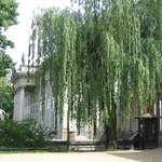 Pałac Na Wodzie (Palace on the Water)