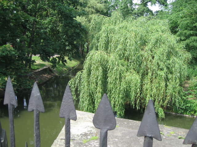 Lazienki Królewskie Park