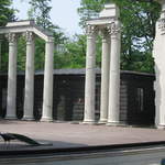 Peacock in the Ampitheatre