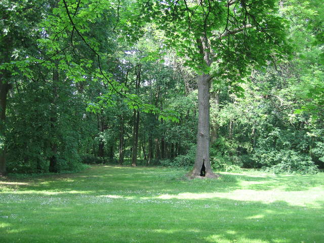 Lazienki Królewskie Park
