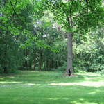 Lazienki Królewskie Park
