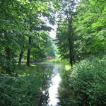 Lake in Lazienki Królewskie Park