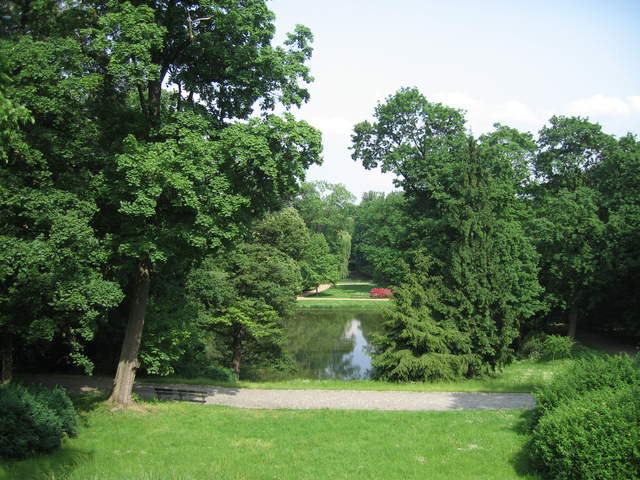 Lake in Lazienki Królewskie Park