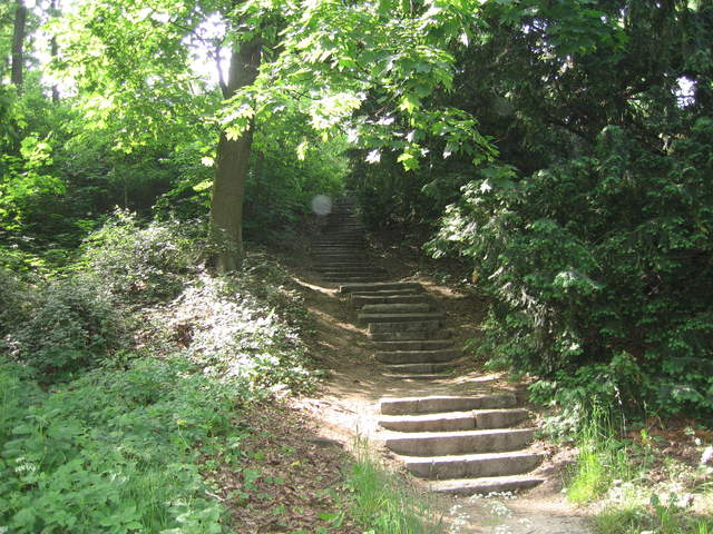 Lazienki Królewskie Park