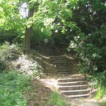 Lazienki Królewskie Park