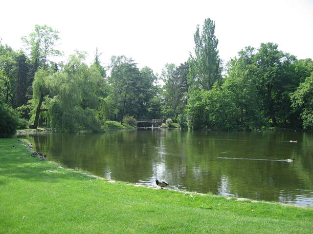Lake at Ogród Saski